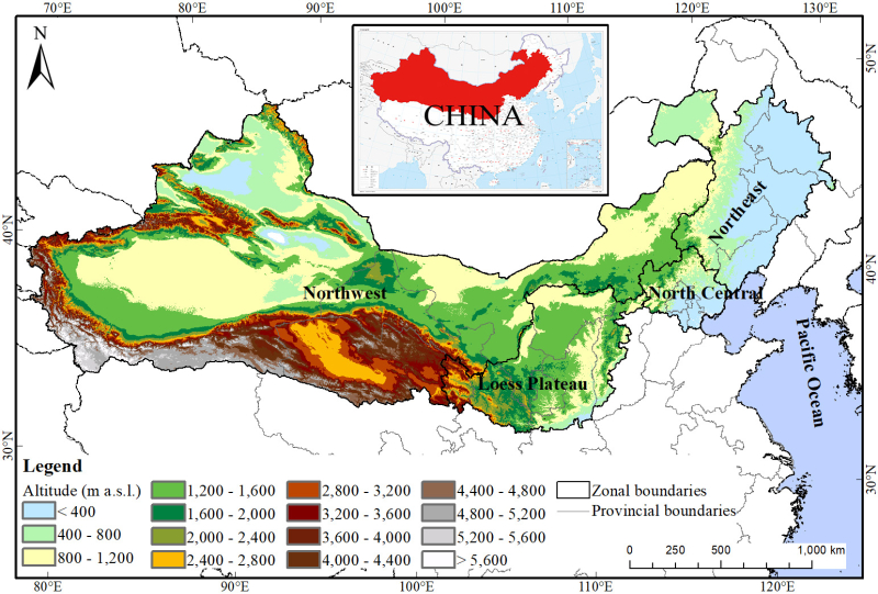 China’s ‘Great Green Wall’ Boosts Carbon Sink