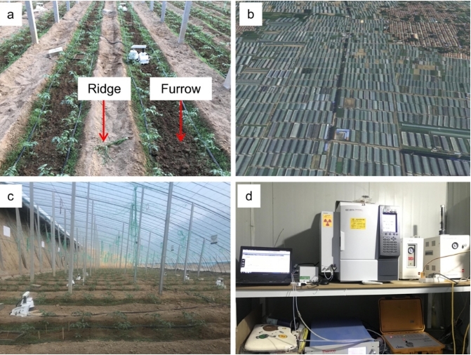 Greenhouse Vegetable Production Emits High Levels of Nitrous Oxide, Study Finds