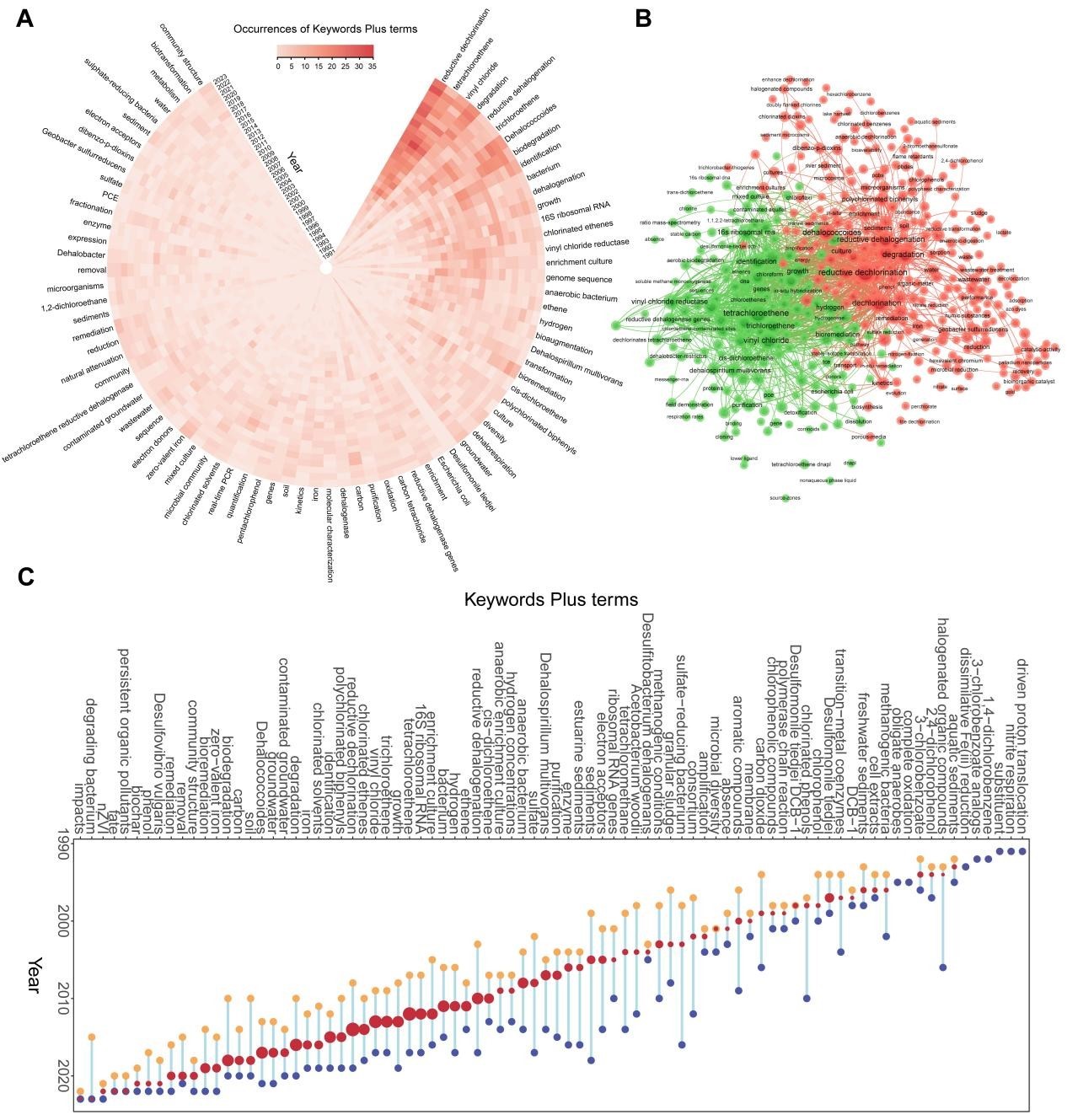 Researchers Uncover Growth in Organohalide-Respiring Bacteria Research