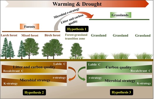 Climate Change Impacts Soil Microbes Differently in Forests and Grasslands, Study Finds