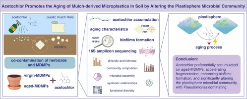 Farm Herbicide Acetochlor Found to Accelerate Microplastic Degradation and Shift Microbial Community
