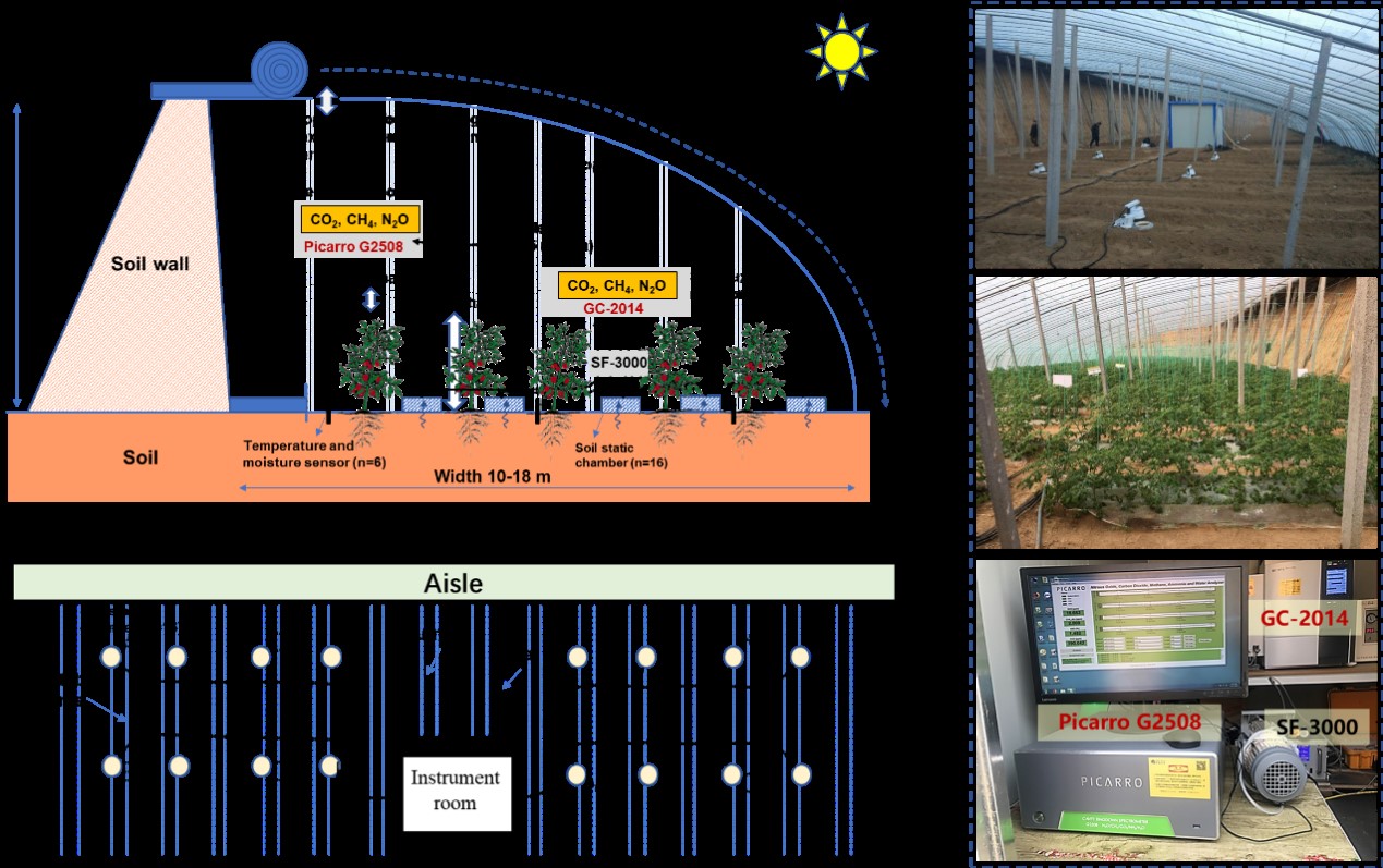 Novel Whole-Greenhouse Static Chamber Method Enhances Accuracy of Greenhouse Gas Emission Quantification in Greenhouse Cultivation Systems
