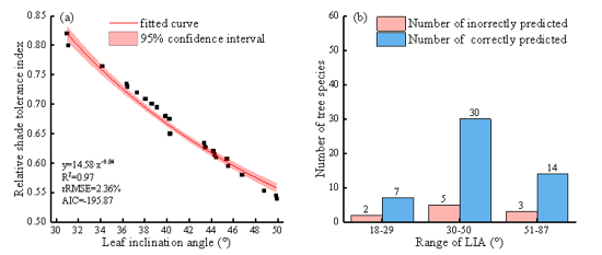 Scientists Develop New Quantitative Model to Measure Tree Shade Tolerance