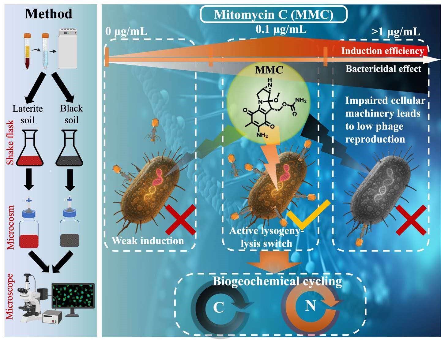 Scientists Develop Improved Method to Study Dormant Soil Viruses