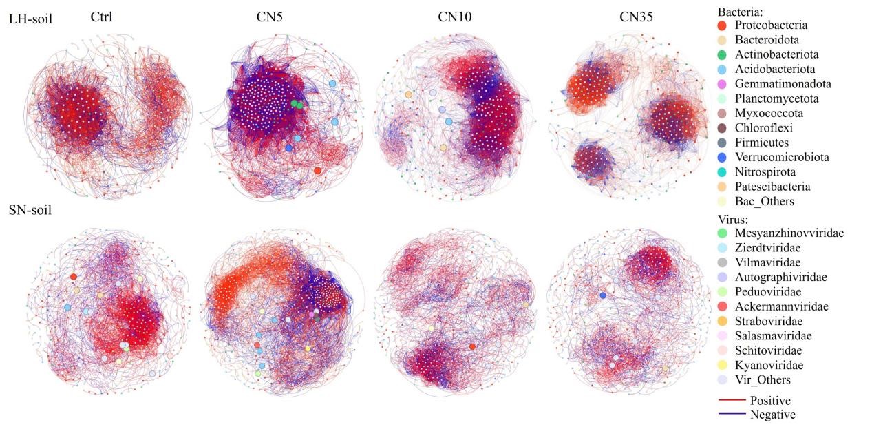 Soil Viruses Regulate Carbon Cycling Based on the Carbon-to-Nitrogen Ratio in Soil