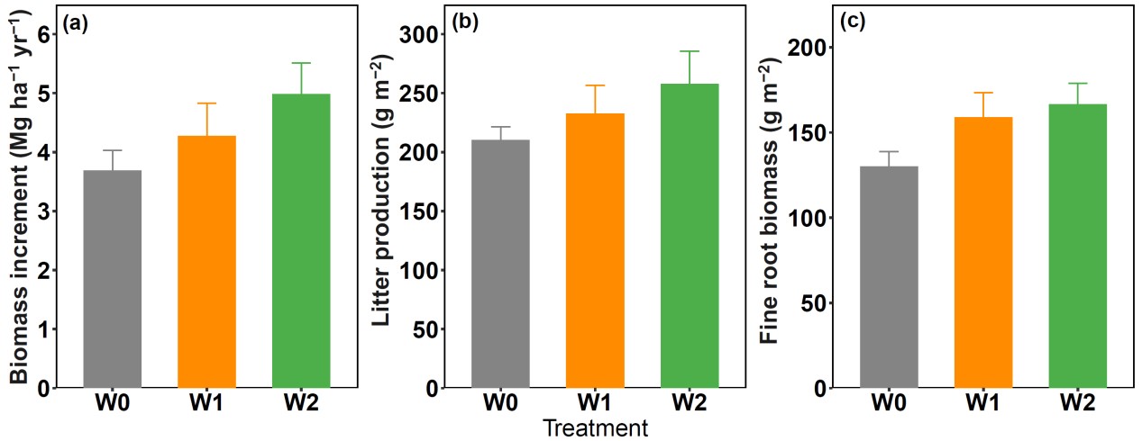 How Enhanced Rock Weathering Influences Carbon Sequestration in Temperate Forests