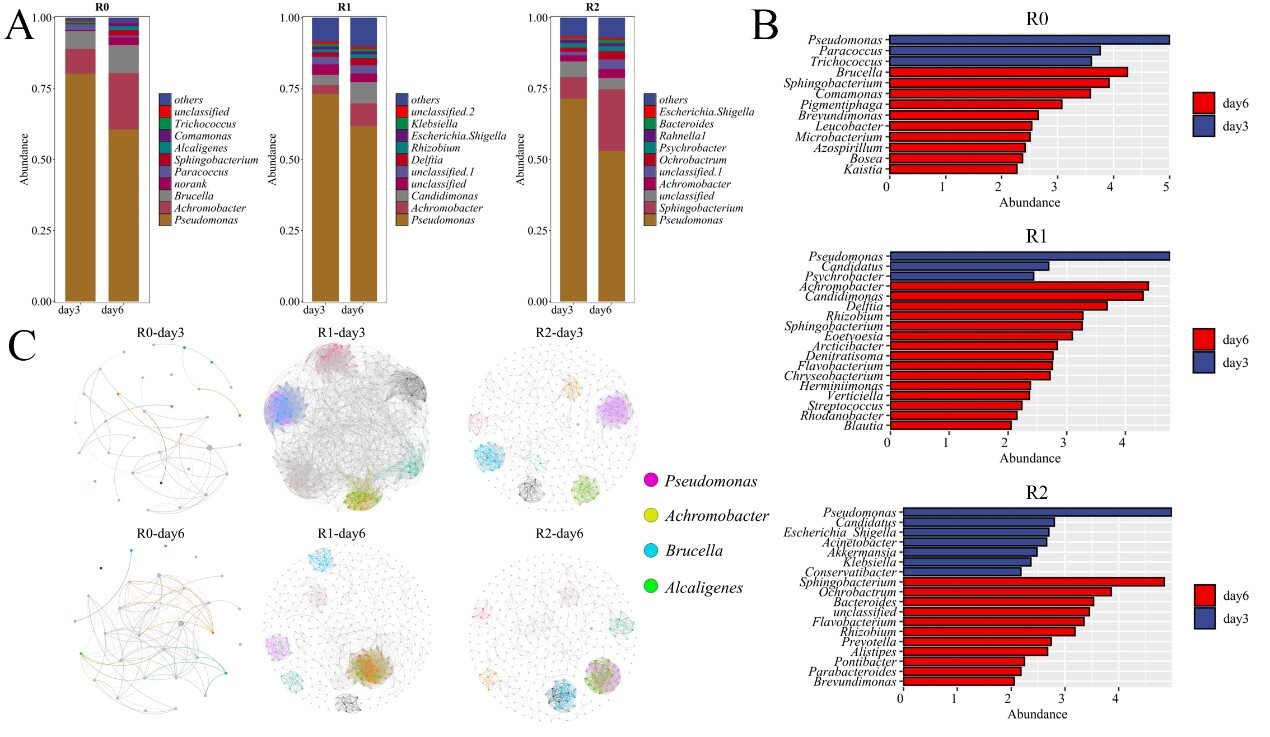 Scientists Uncover How Microbial Consortia Break Down Lignin