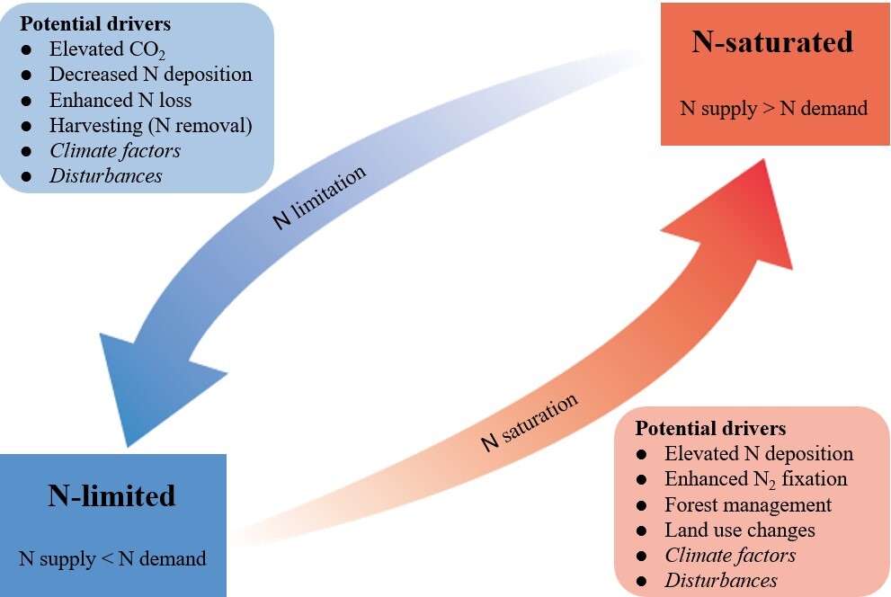 Framework Proposed for Assessing Nitrogen Conditions in Forest Ecosystems Under Global Environmental Change