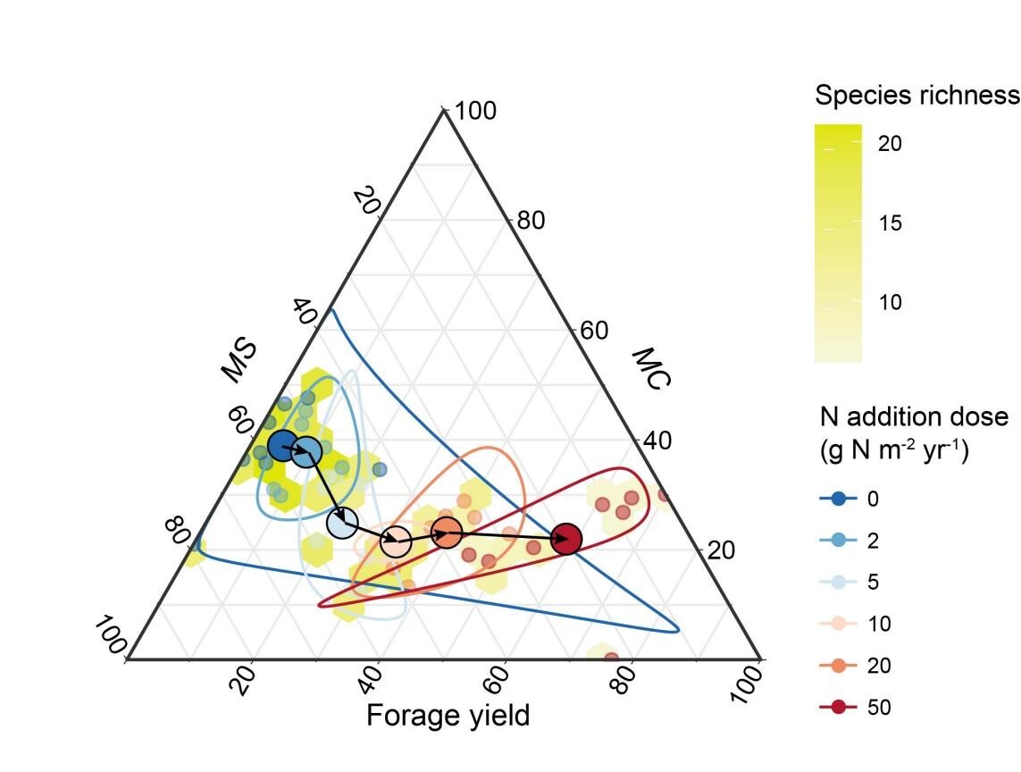 Long-Term Field Study Finds Nitrogen Fertilization Weakens Non-Nitrogen Mineral Nutrition in Meadow Steppe Forage