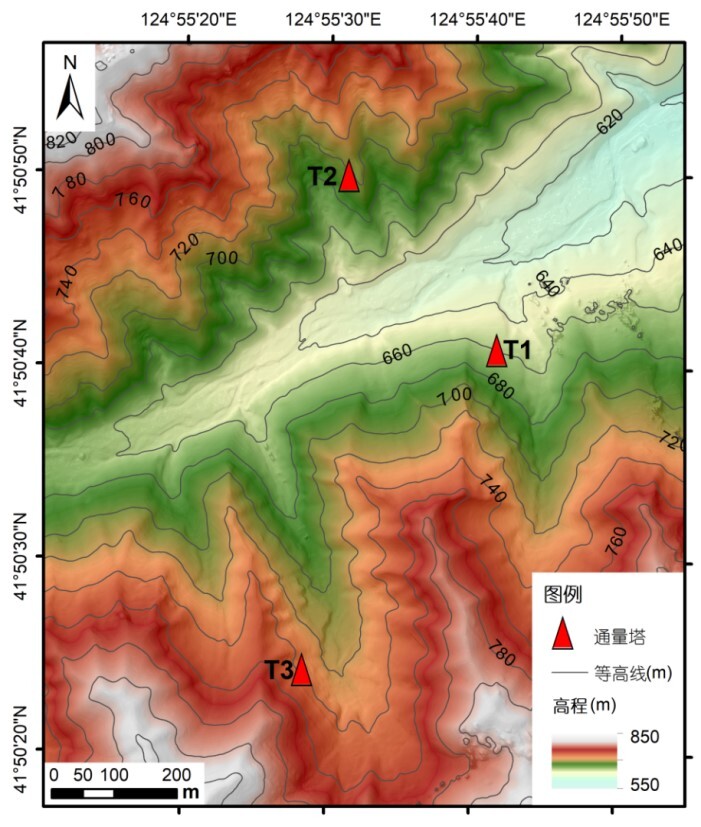 Multi-Tower Observations Improve Understanding of Wind regimes and Carbon Fluxes in Mountainous Forests