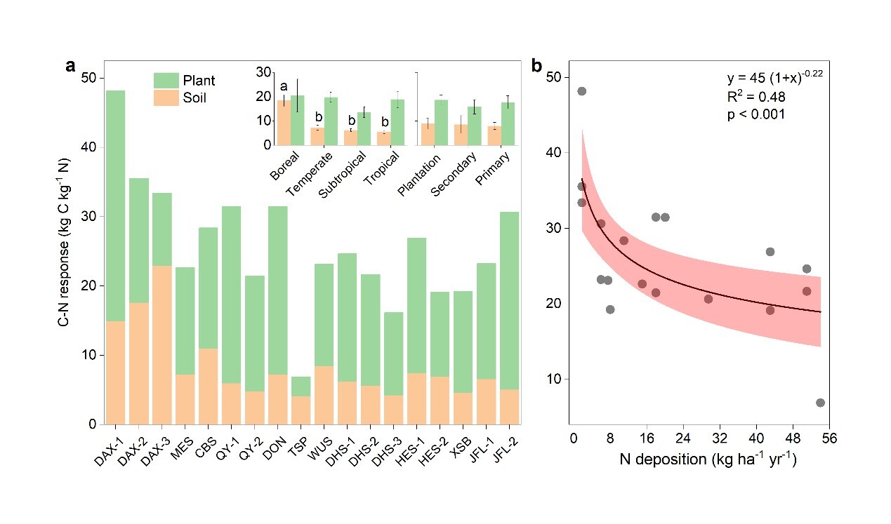 Researchers Leads National Synthesis on Forest Nitrogen Retention and Carbon Sequestration in China