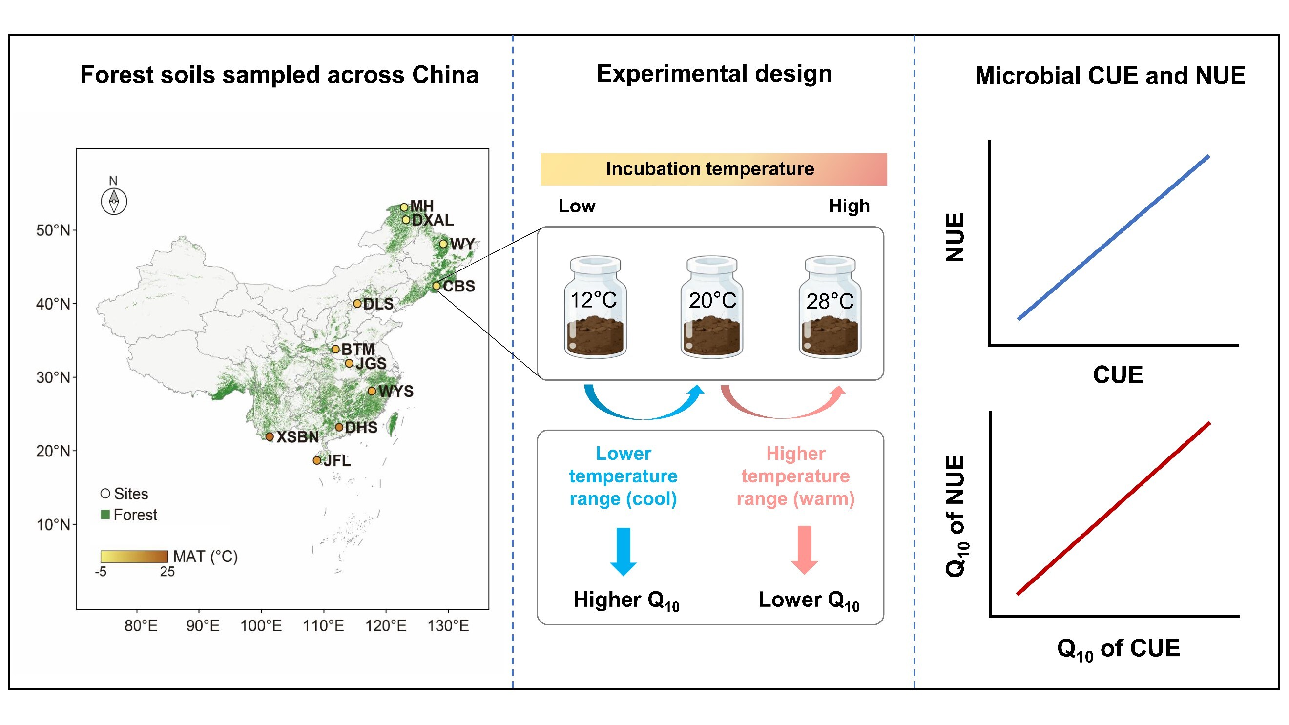 Coupled Temperature Sensitivity of Microbial Carbon and Nitrogen Use Efficiencies Across a Continental-Scale Forest Transect