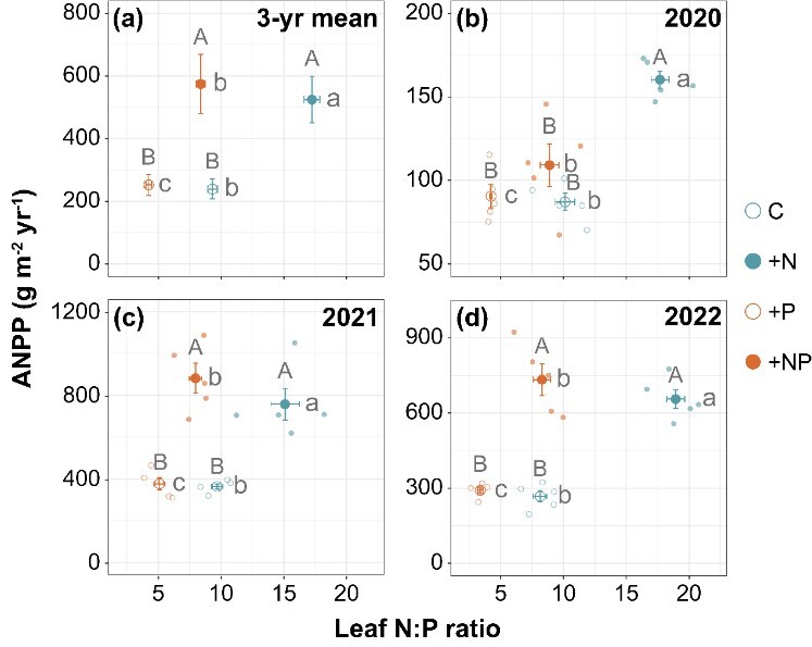 Study Questions Reliability of Leaf N:P Ratio as Indicator of Nutrient Limitation in Grasslands