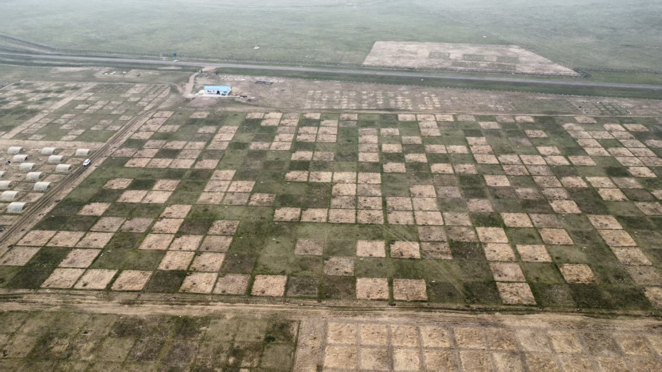 Sulfur Addition Enhances Microbial Carbon Use Efficiency by Promoting K-Strategy Dominance in a Meadow Steppe